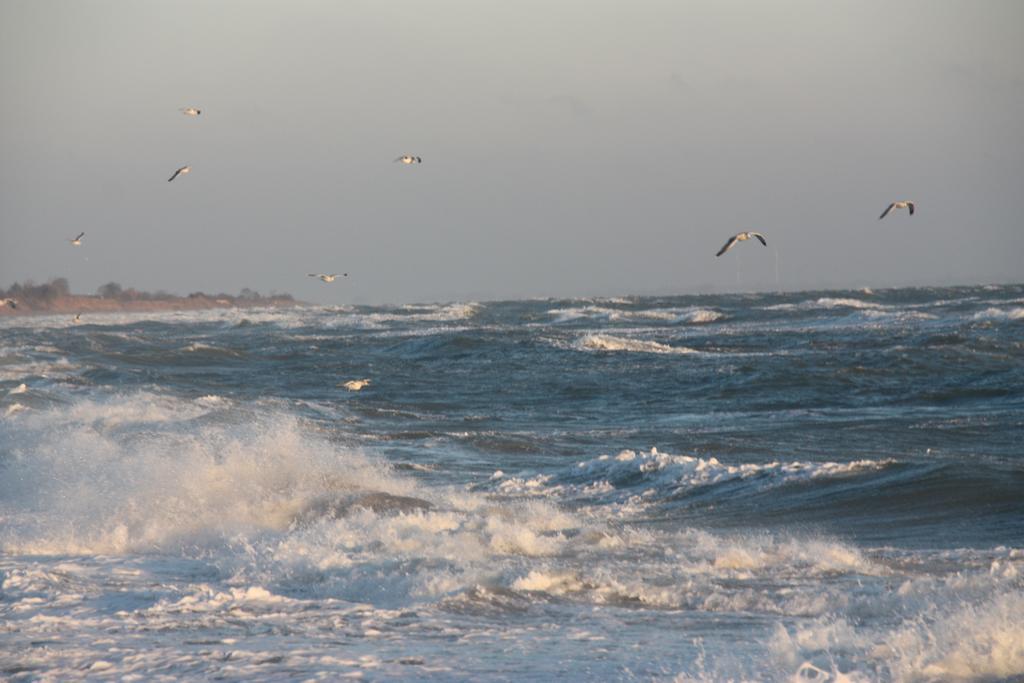 Land & Meer Hasselberg  外观 照片